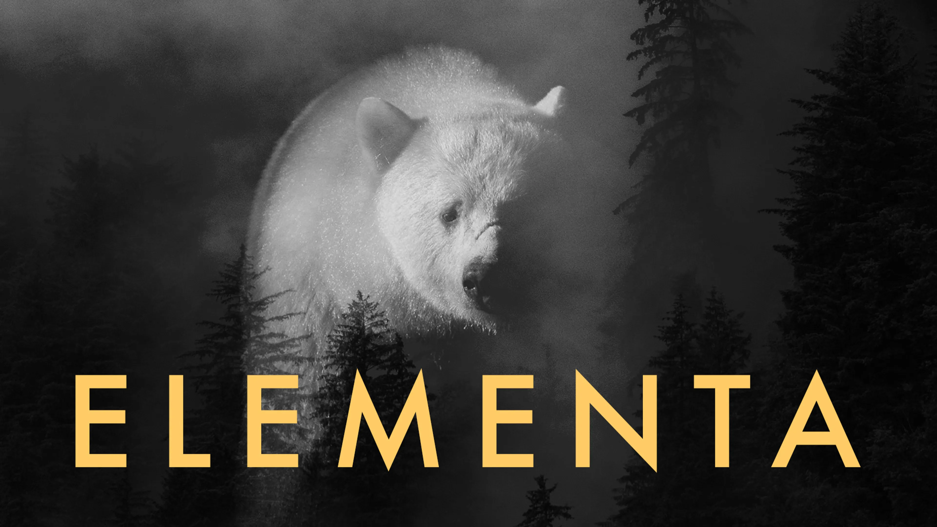 Elementa poster